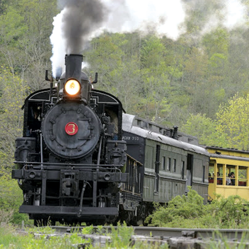 A Mountain Rail Extravaganza: The Cass Scenic Railroad and Other West Virginia Excursions