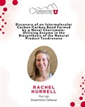 dissertation defense flyer for ph.d. candidate Rachel Hurrell