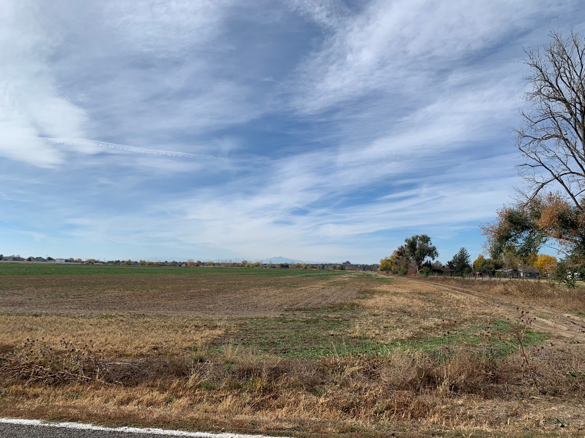 Looking west across an agricultural field towards the Rocky Mountains. A road to the right leads to a home tucked in some trees