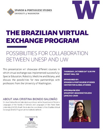 The Brazilian Virtual Exchange Program