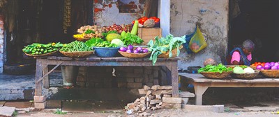 Improving the Impact of Food Systems on Nutrition in Sub-Saharan Africa And Asia