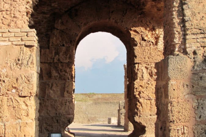 Call for Papers: Punic Network Graduate Workshop
