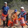 Coastal Cleanup at Hal Brown Park