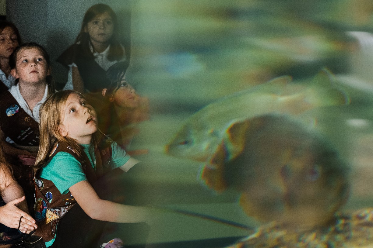 Girl Scout Badge Day: Wonder of Water