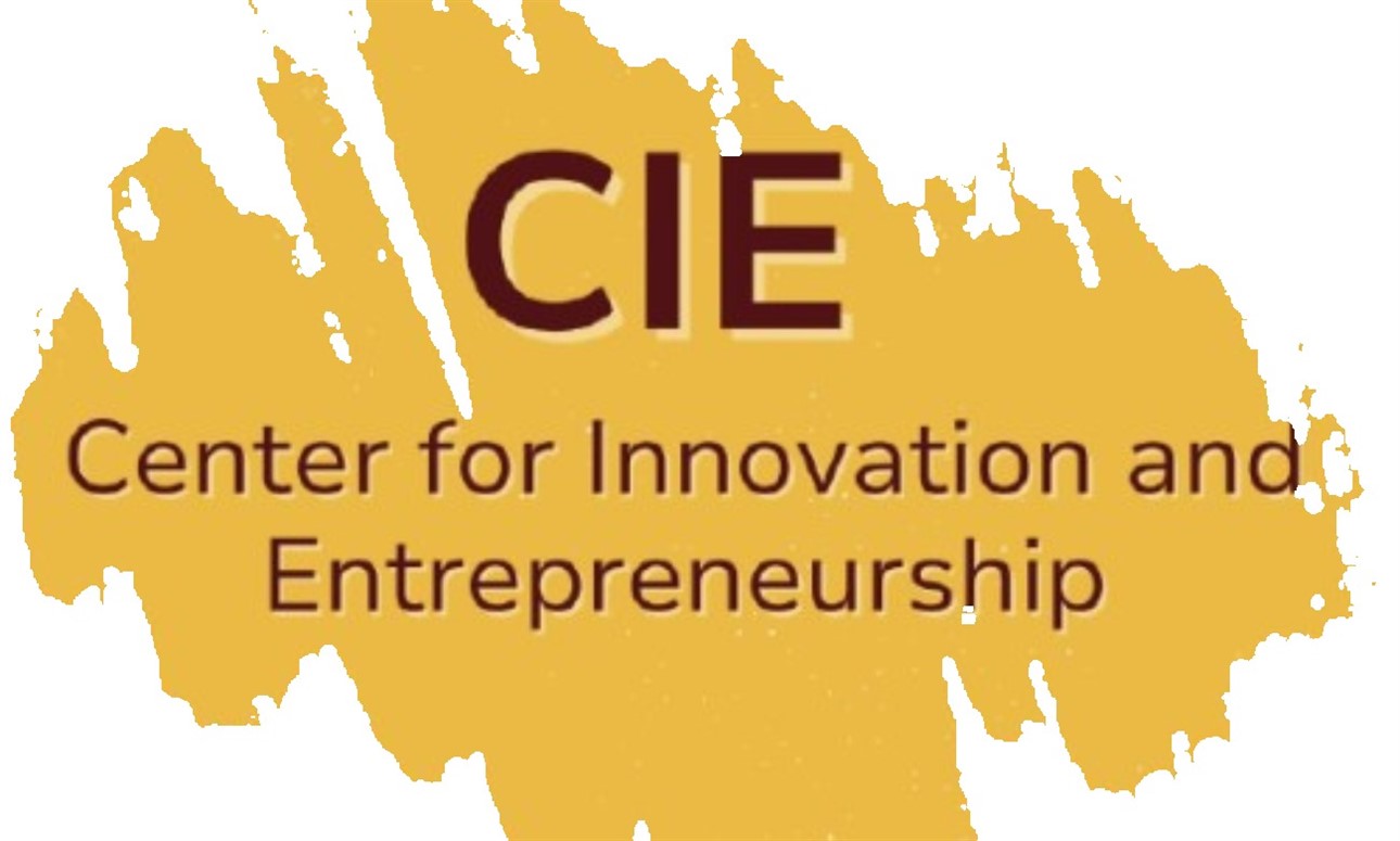 CIE Wednesday Workshop - Pitch Workshop, with Quinn Valentine, Director of CIE