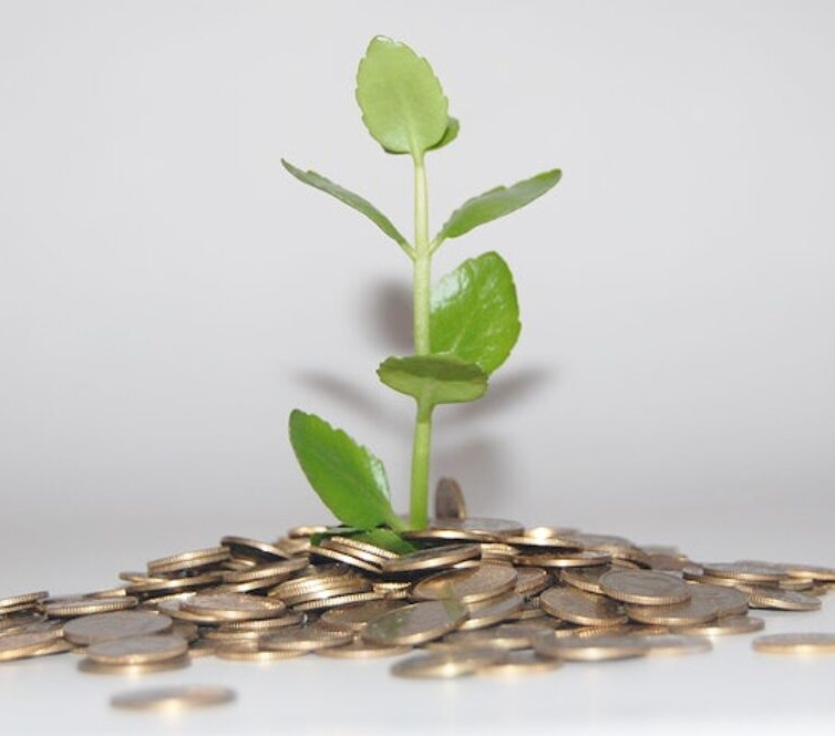 Building Financial Resilience