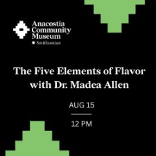 The Five Elements of Flavor: A Hands-On Journey Through Taste and Wellness