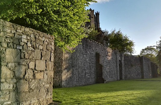 The 24th Medieval Dublin Symposium: Dublin Festival of History 2023