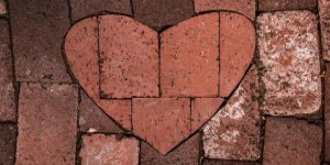Live Kindness Meditation