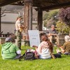 Ukelele in the Park