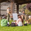 Ukelele in the Park Ukelele in the Park