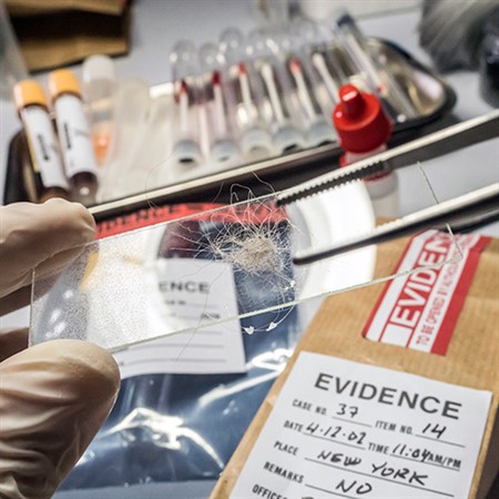 Forensic Science: Investigating the Real Profession