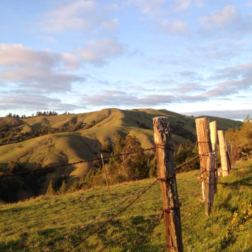 White Hill White Hill