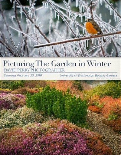 Picturing Your Garden In Winter