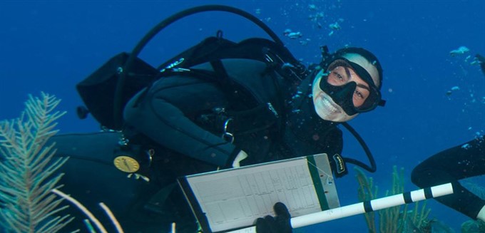 Tracking Coral Health in the Caribbean Sea