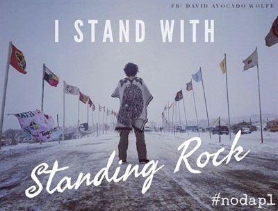 The Historical Roots of Indigenous Activism in the Era of Standing Rock