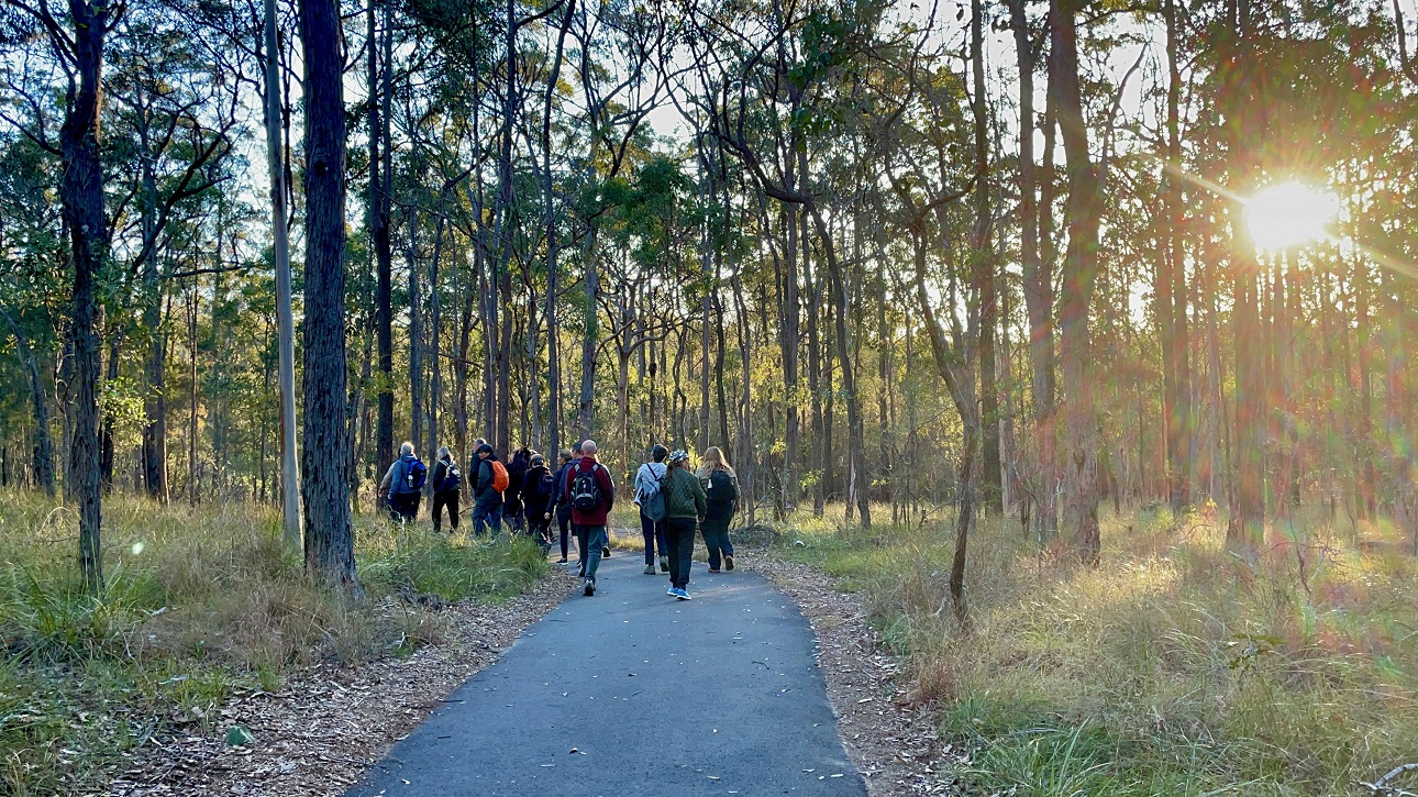 Twilight walk - Karawatha Rocks Track