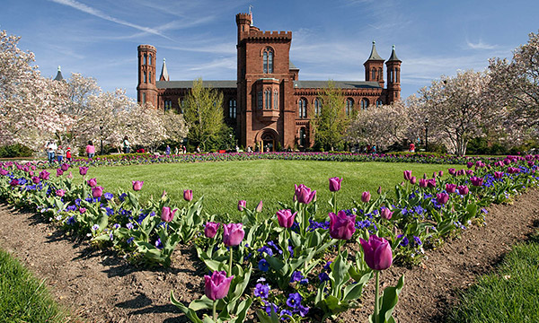 Tour of the Enid A. Haupt Garden