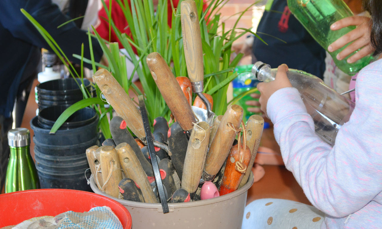 CANCELLED: Nature card making