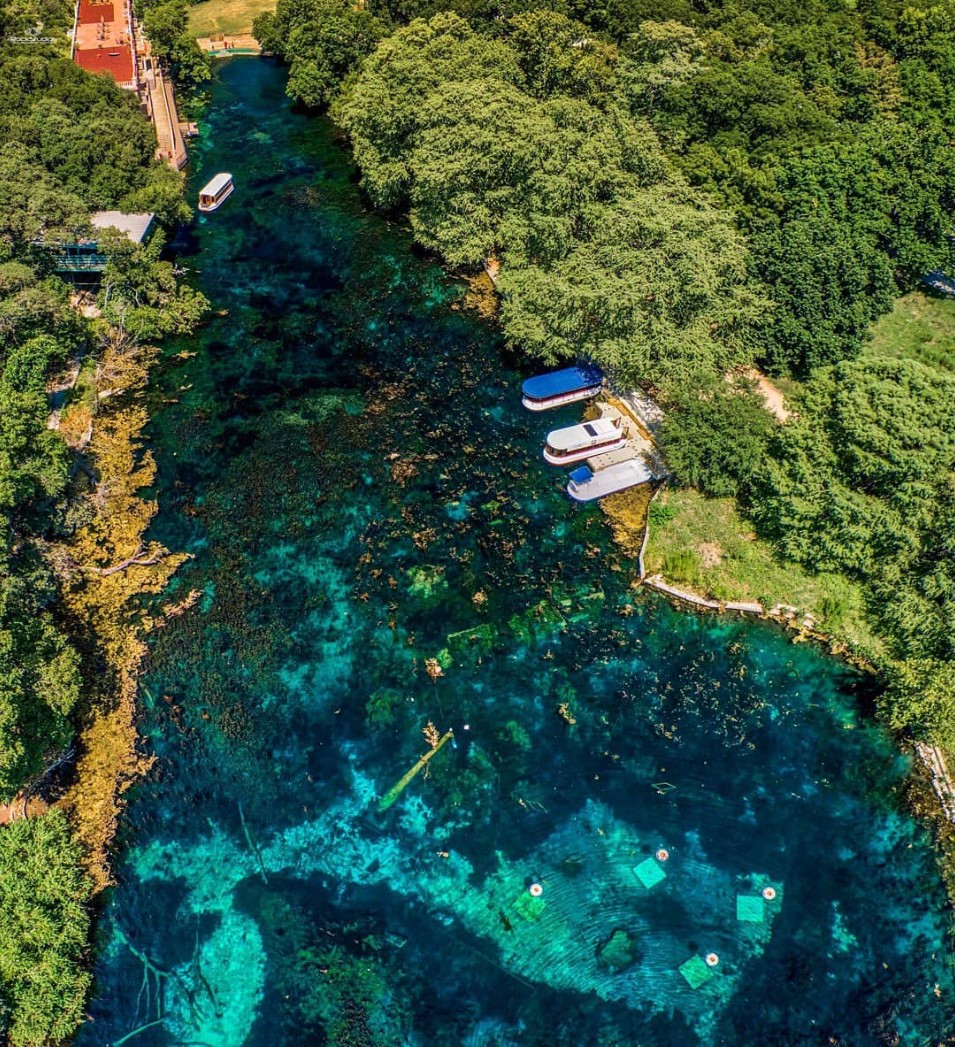 New Year in Nature Family Fun Day