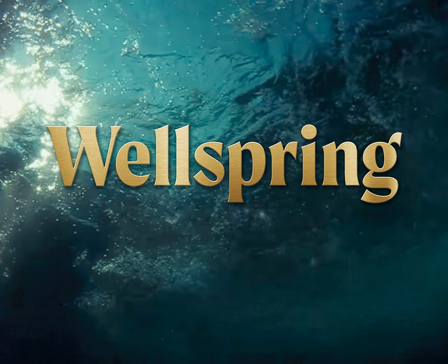 Wellspring