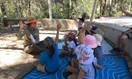 Bush Kindy: Library Stories and Rhymes
