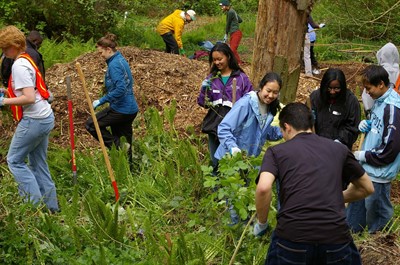 Earth Day Service at Washington Park Arboretum