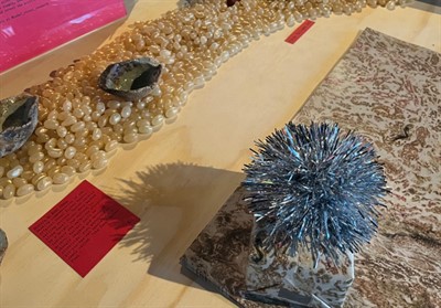 Canal Street Research Association (market)