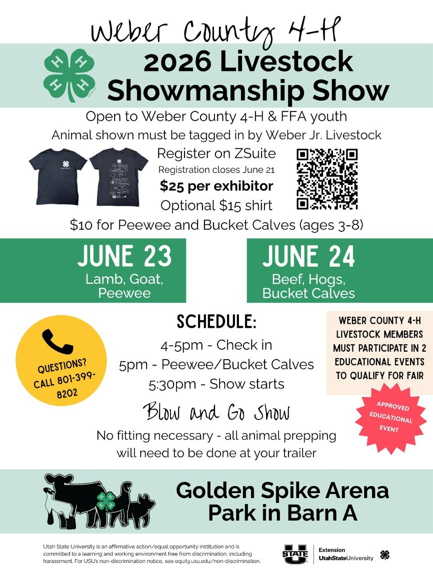 4-H Livestock Showmanship Show