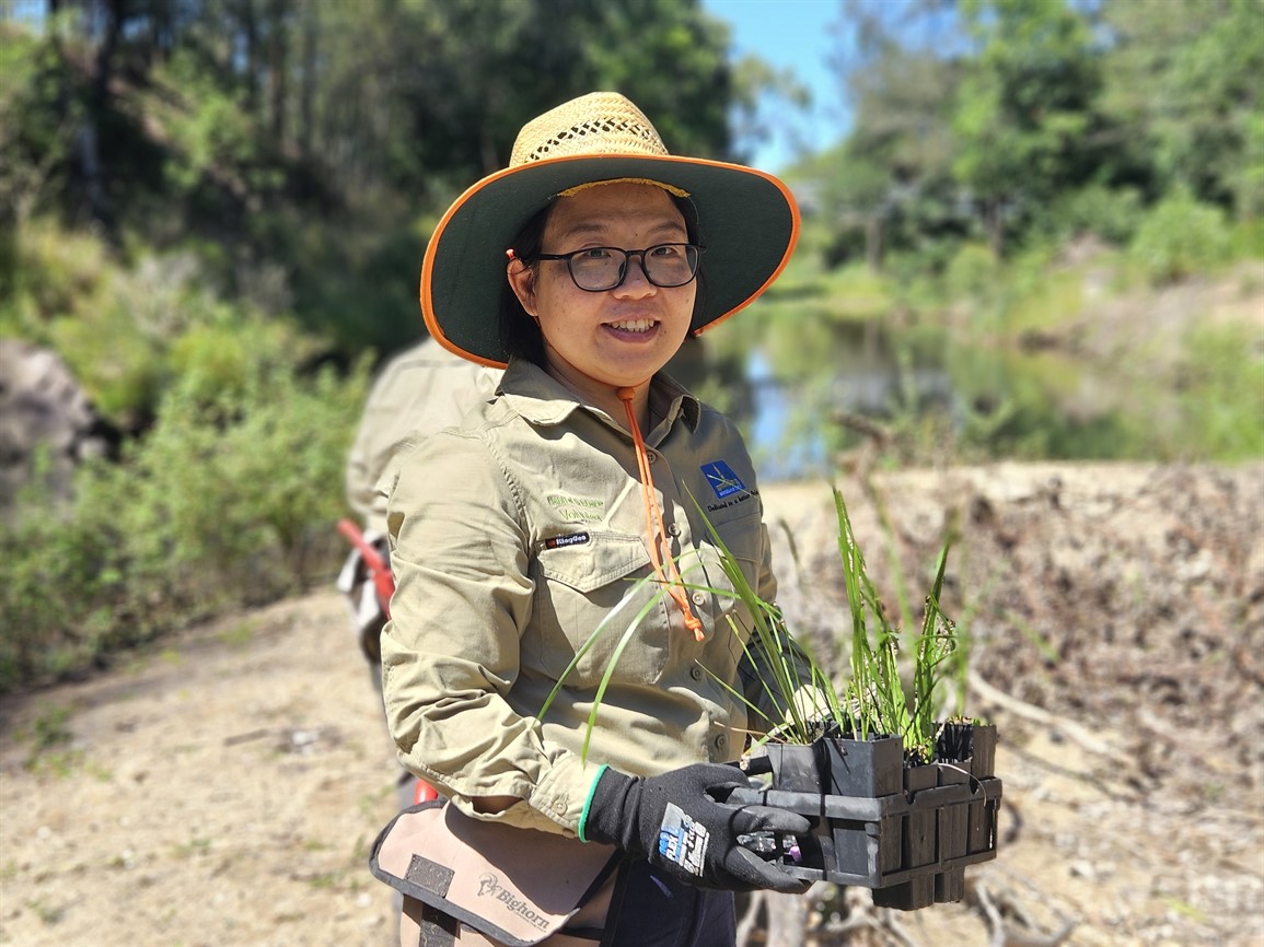 Volunteer Bushcare Working Bee - Perrin Creek & Seven Hills Bushland Rehabilitation Group
