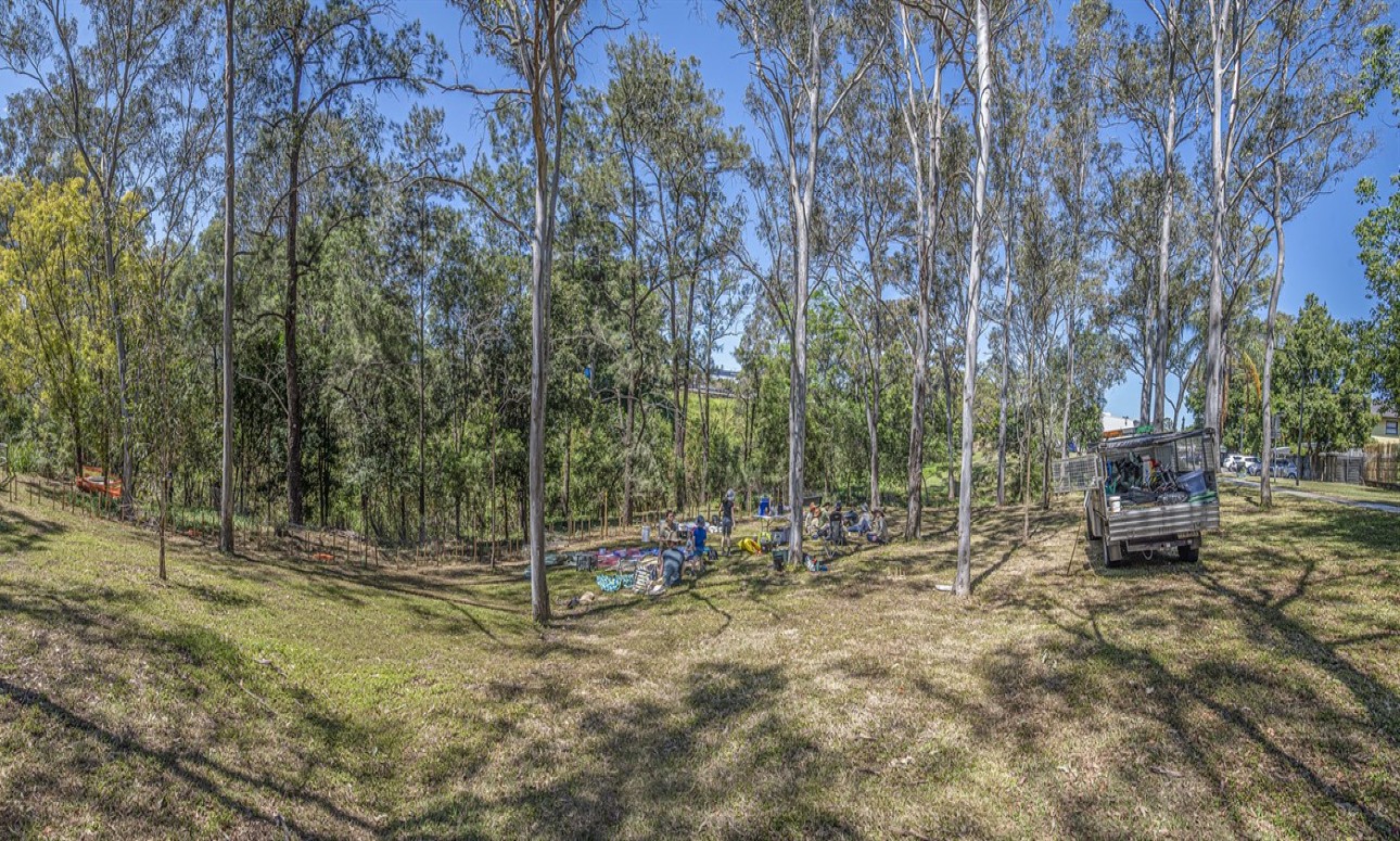 Volunteer Bushcare Working Bee - Hilda Street Bushcare Group
