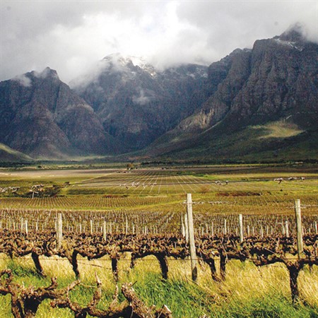 Discovering the Wines of South Africa