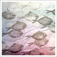Gyotaku: The Japanese Art of Printing with Fish