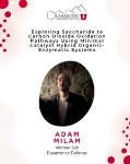 dissertation defense flyer for ph.d. candidate Adam Milam dissertation defense flyer for ph.d. candidate Adam Milam