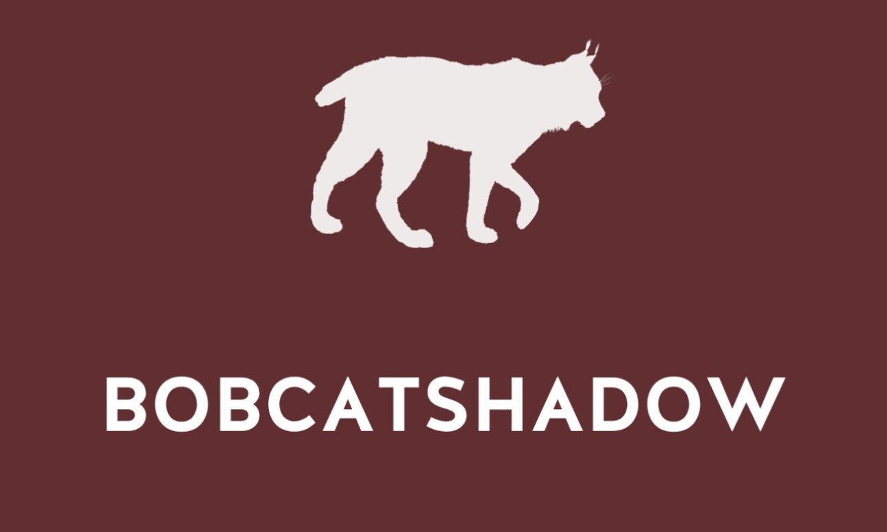BOBCATshadow Information Session