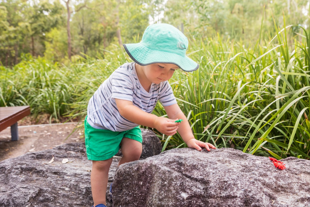 Bush Kindy: Australian Pollinator Week