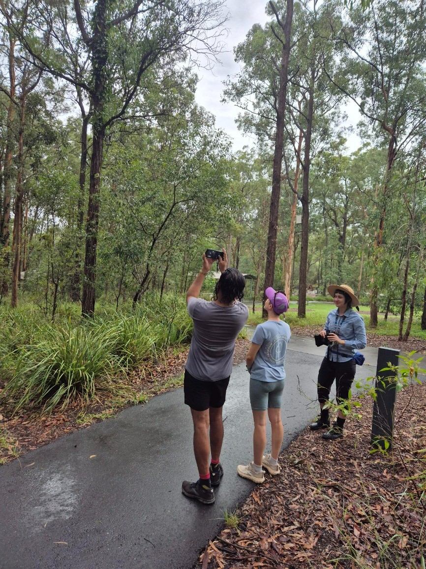 Guided bird watching walk