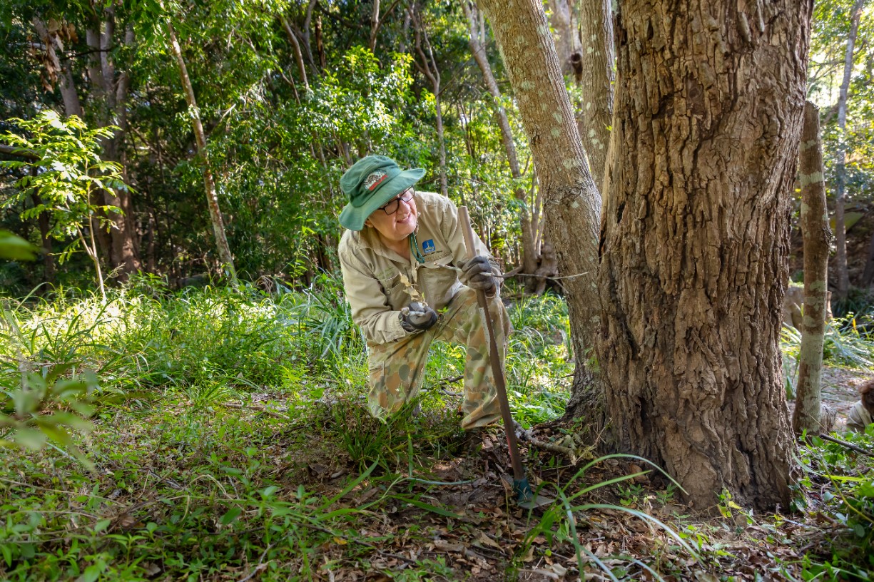 Volunteer Bushcare Working Bee - Small Bird Reserve Bushcare Project