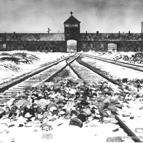The Escape Artist: A Warning from Auschwitz