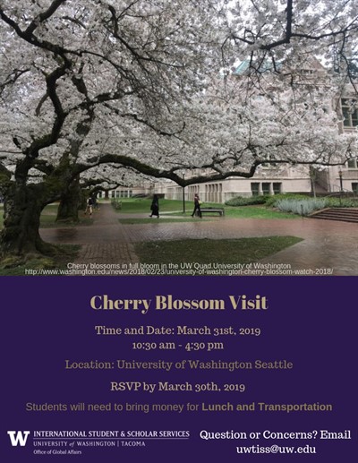 International Student Trip to Cherry Blossoms & U District