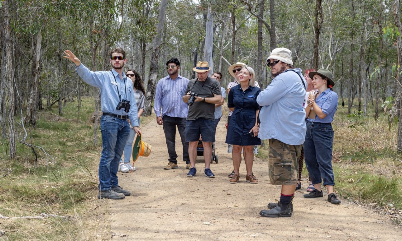 Guided discovery walk at Karawatha Forest