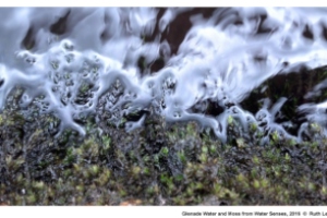 Art in the Anthropocene