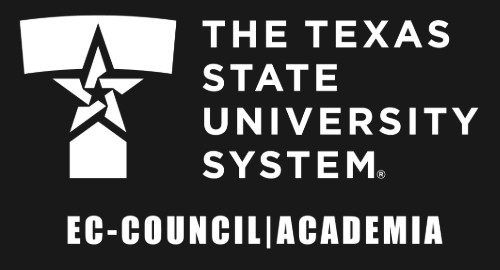 Texas State University System Capture the Flag
