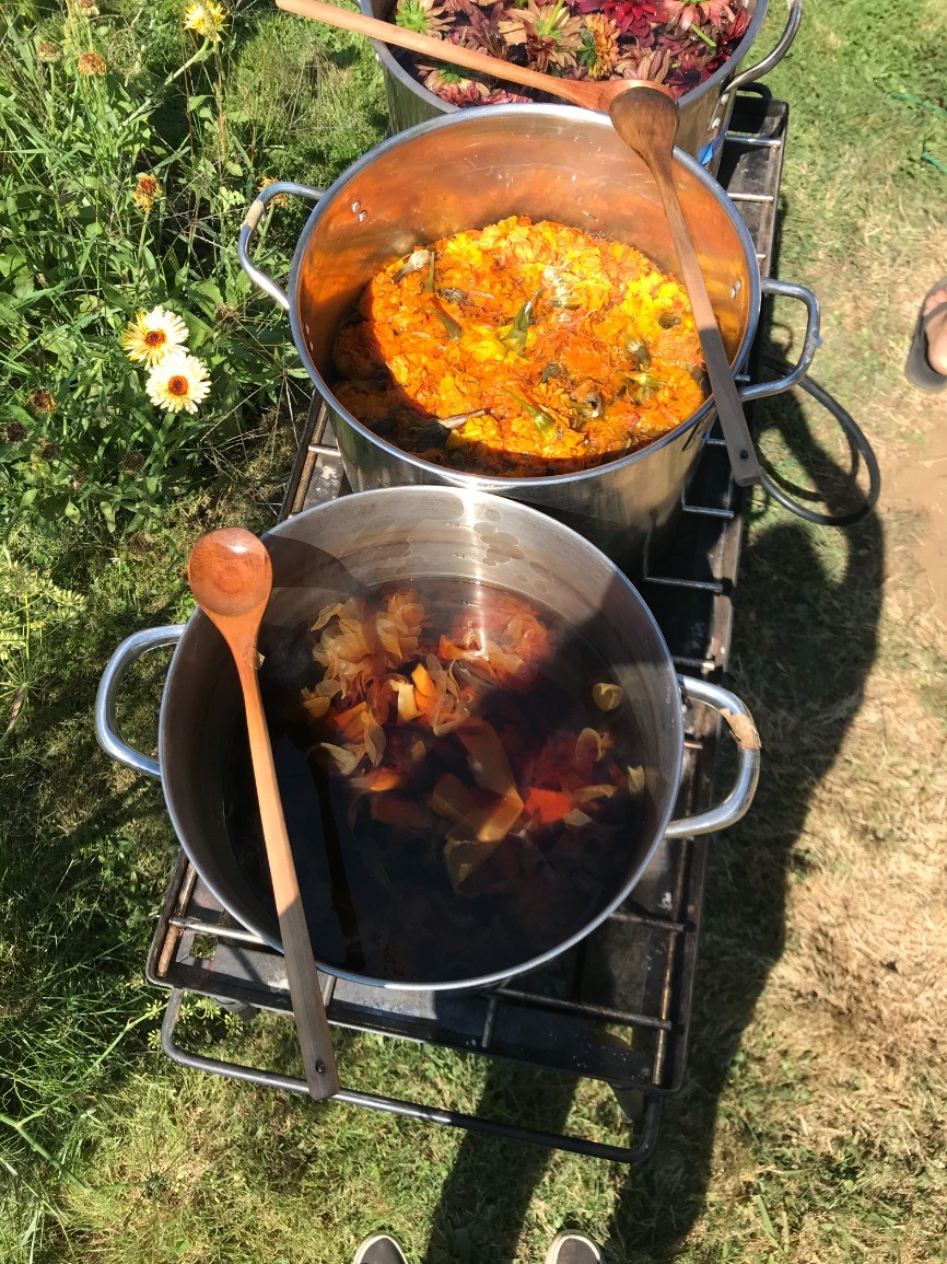 Local Plants for Natural Dyes and Pigments (in-person)