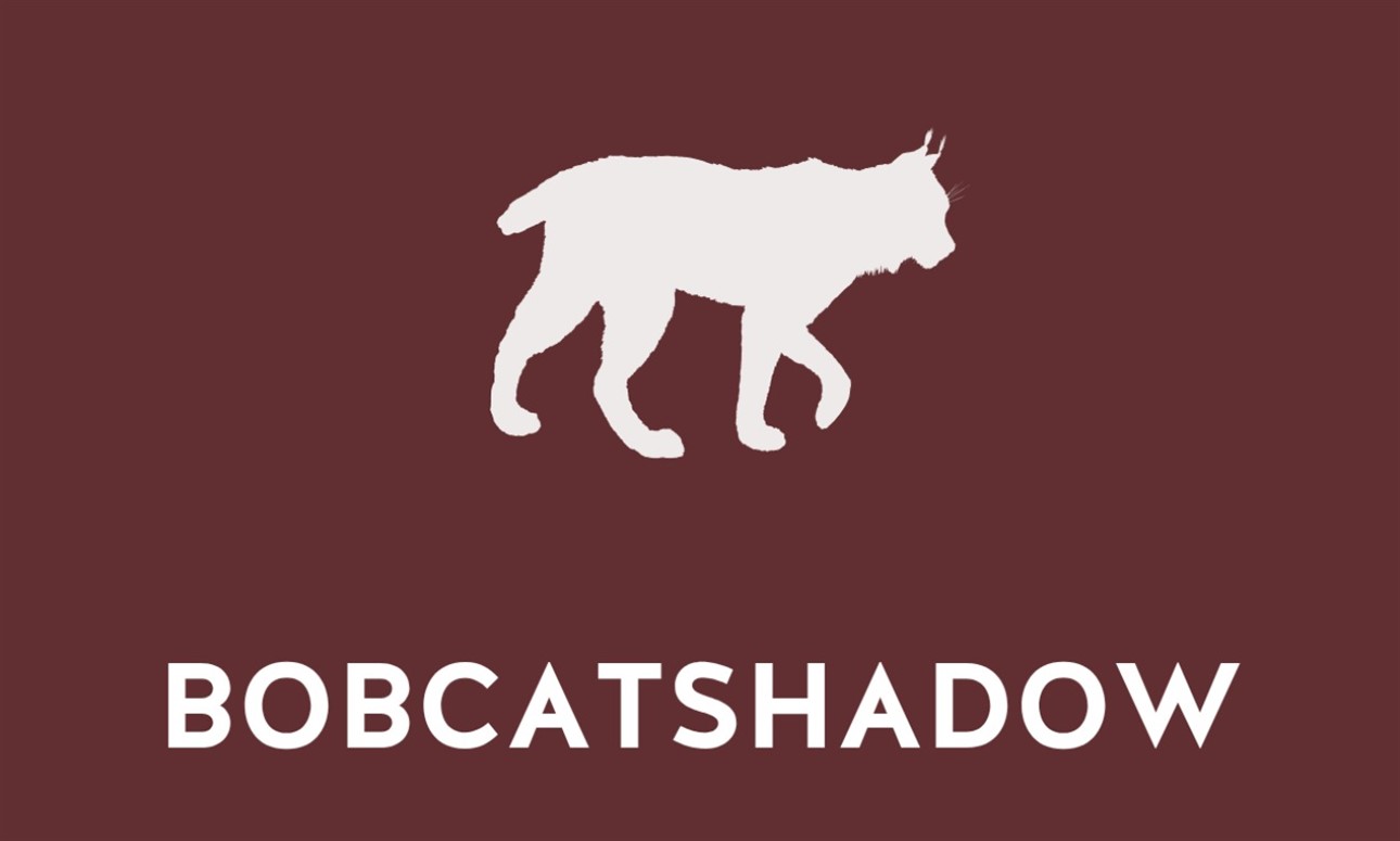 BOBCATshadow Information Session