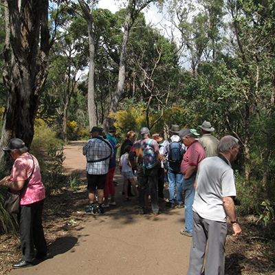 Armadale Wildflower Society
