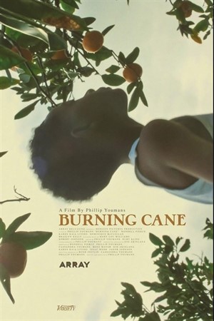Cinema + Conversation: Burning Cane