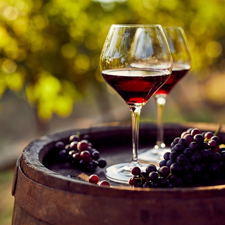 The Tuscan Wine Revolution