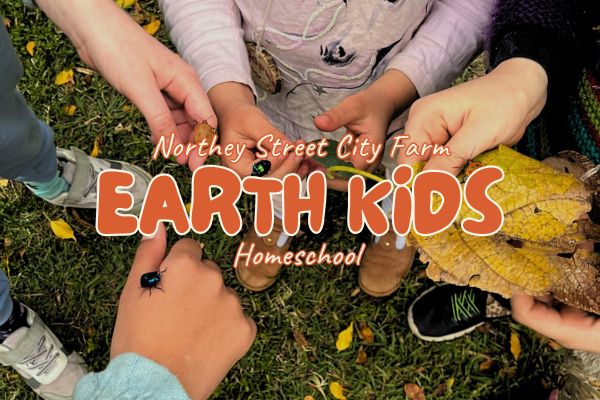 Earth Kids Homeschool Program - Wednesday mornings