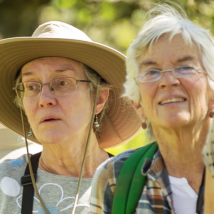 Senior Stroll: Celebrating 50 Years